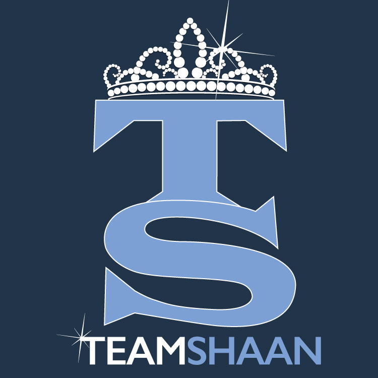 team shaan logo